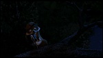 Over the Hedge picture