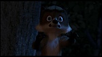Over the Hedge picture
