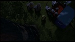 Over the Hedge picture