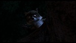 Over the Hedge picture