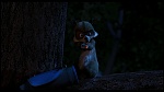 Over the Hedge picture