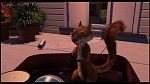 Over the Hedge picture