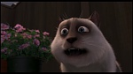 Over the Hedge picture