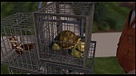 Over the Hedge picture