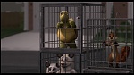Over the Hedge picture