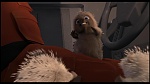 Over the Hedge picture