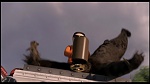 Over the Hedge picture