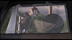 Over the Hedge picture