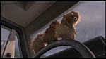 Over the Hedge picture
