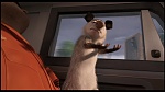 Over the Hedge picture