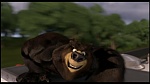 Over the Hedge picture