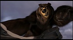 Over the Hedge picture