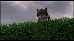 Over the Hedge picture