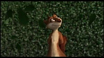 Over the Hedge picture