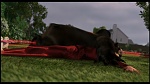Over the Hedge picture