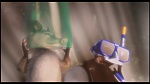 Over the Hedge picture