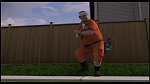 Over the Hedge picture