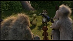 Over the Hedge picture