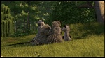 Over the Hedge picture
