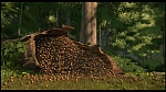 Over the Hedge picture