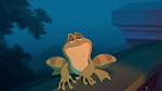 The Princess & The Frog picture