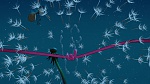 The Princess & The Frog picture
