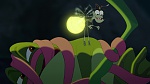 Image The Princess & The Frog
