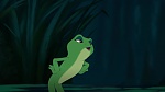 The Princess & The Frog picture
