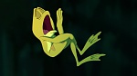 The Princess & The Frog picture