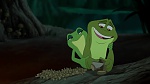 The Princess & The Frog picture