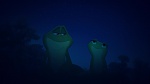 The Princess & The Frog picture