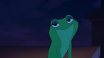 The Princess & The Frog picture
