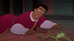 The Princess & The Frog picture