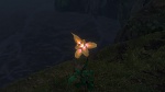 Image Raiponce