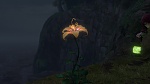 Image Raiponce