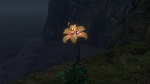 Image Raiponce