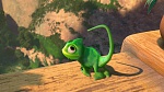 Raiponce picture