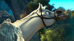 Image Raiponce
