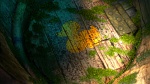 Image Raiponce