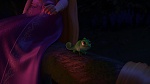 Image Raiponce