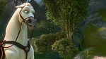 Image Raiponce