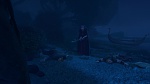 Image Raiponce