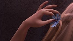 Image Raiponce