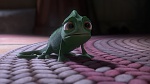 Image Raiponce