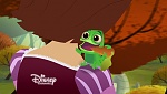 Image Tangled: Before ever after