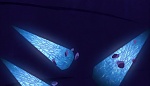 Image Tangled: Before ever after