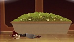 Image Tangled: Before ever after
