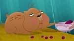 Image Raiponce : 