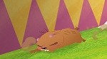 Image Raiponce : 