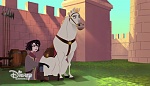 Image Raiponce : 